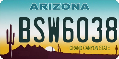 AZ license plate BSW6038