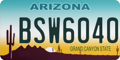 AZ license plate BSW6040