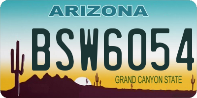 AZ license plate BSW6054