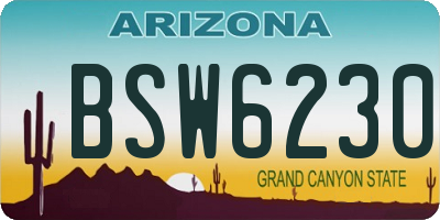 AZ license plate BSW6230