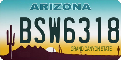 AZ license plate BSW6318