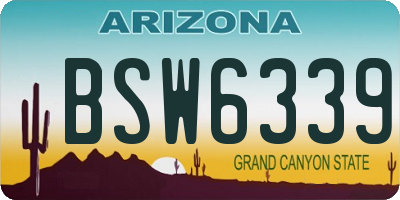 AZ license plate BSW6339