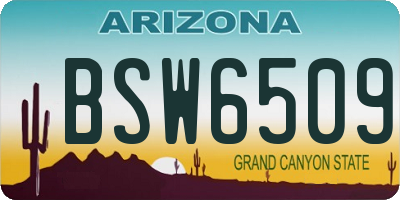 AZ license plate BSW6509