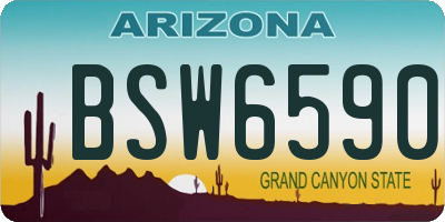 AZ license plate BSW6590