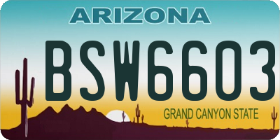 AZ license plate BSW6603