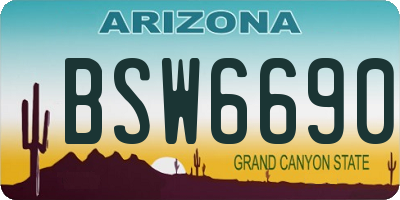 AZ license plate BSW6690