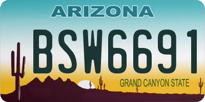 AZ license plate BSW6691