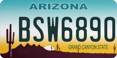 AZ license plate BSW6890
