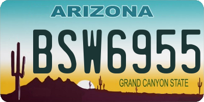 AZ license plate BSW6955