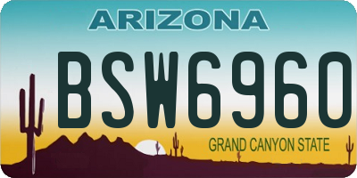 AZ license plate BSW6960