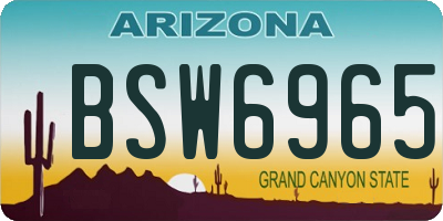 AZ license plate BSW6965