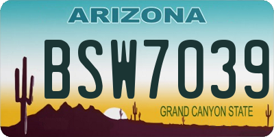 AZ license plate BSW7039