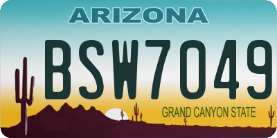 AZ license plate BSW7049