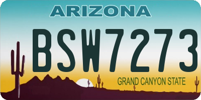 AZ license plate BSW7273