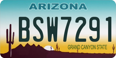 AZ license plate BSW7291