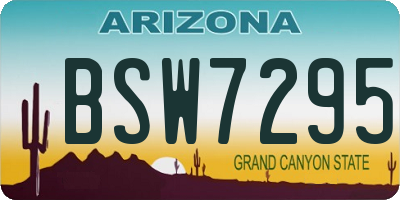 AZ license plate BSW7295