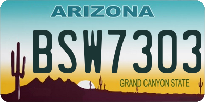 AZ license plate BSW7303