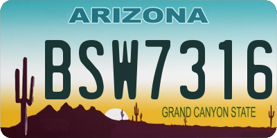 AZ license plate BSW7316