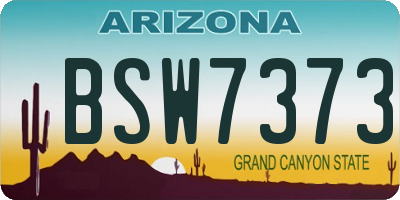 AZ license plate BSW7373