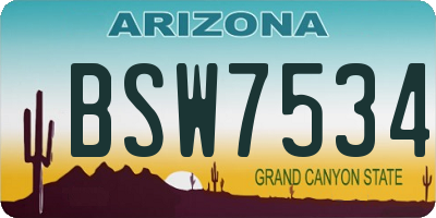 AZ license plate BSW7534