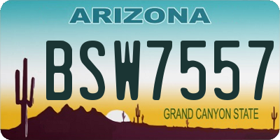 AZ license plate BSW7557