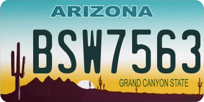 AZ license plate BSW7563