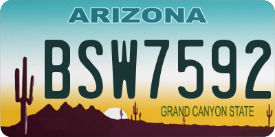 AZ license plate BSW7592