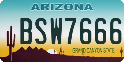 AZ license plate BSW7666