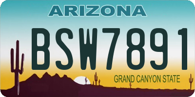 AZ license plate BSW7891