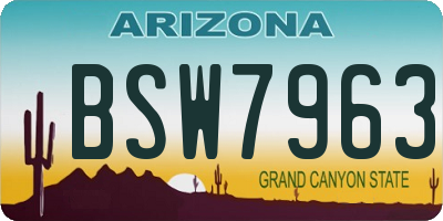 AZ license plate BSW7963