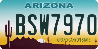 AZ license plate BSW7970