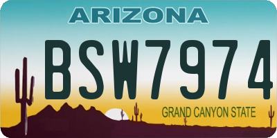 AZ license plate BSW7974