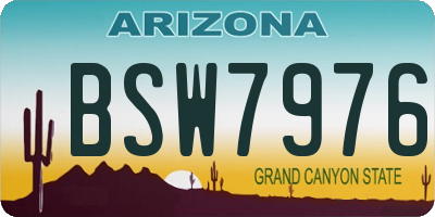 AZ license plate BSW7976