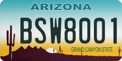 AZ license plate BSW8001