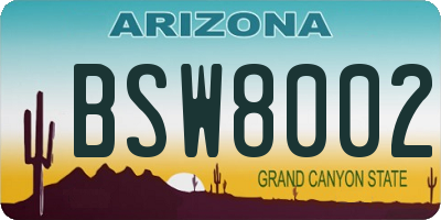 AZ license plate BSW8002