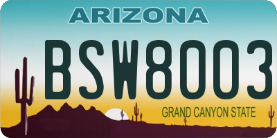 AZ license plate BSW8003