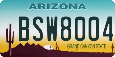 AZ license plate BSW8004