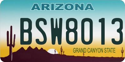 AZ license plate BSW8013
