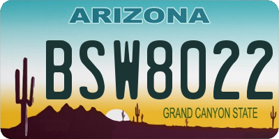 AZ license plate BSW8022