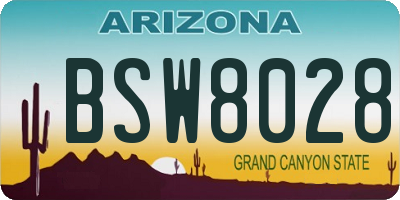 AZ license plate BSW8028