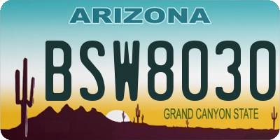 AZ license plate BSW8030