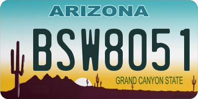 AZ license plate BSW8051