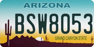 AZ license plate BSW8053