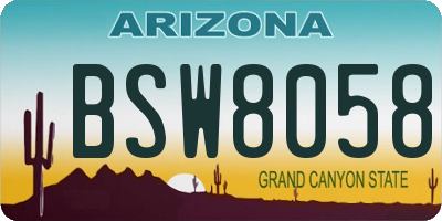 AZ license plate BSW8058