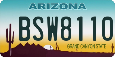 AZ license plate BSW8110