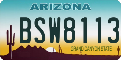 AZ license plate BSW8113