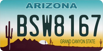 AZ license plate BSW8167
