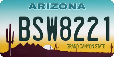 AZ license plate BSW8221
