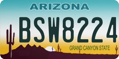 AZ license plate BSW8224