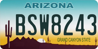 AZ license plate BSW8243